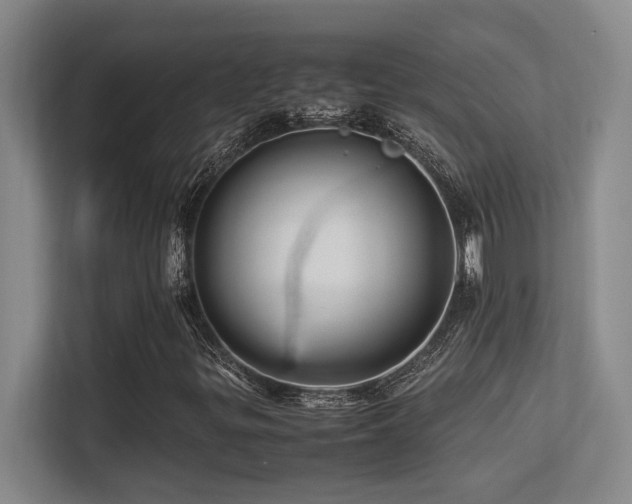 X0000113211299200909101124