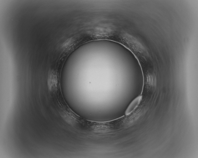X0000113211300200909101124