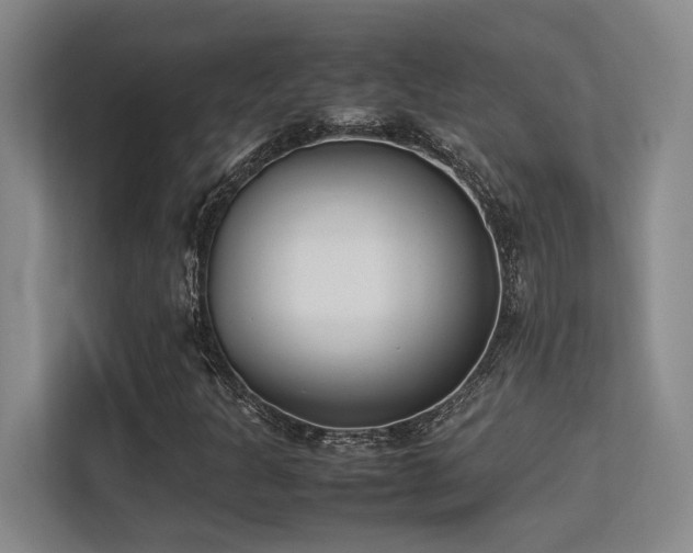 X0000113211301200909101124