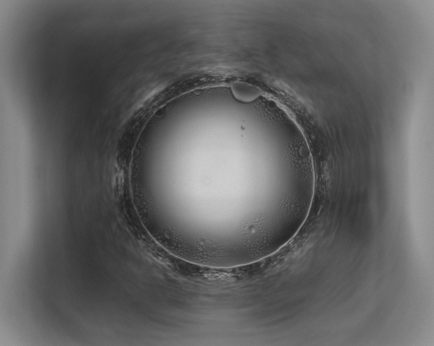 X0000113211302200909101124