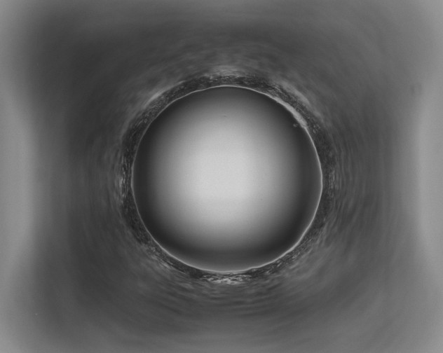 X0000113211303200909101124