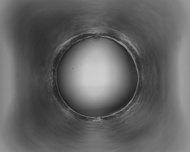 X0000113211304200909101124