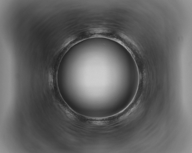 X0000113211305200909101124