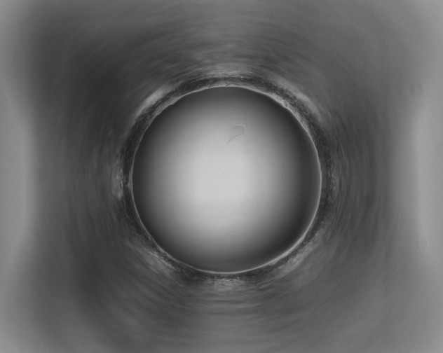 X0000113211306200909101124