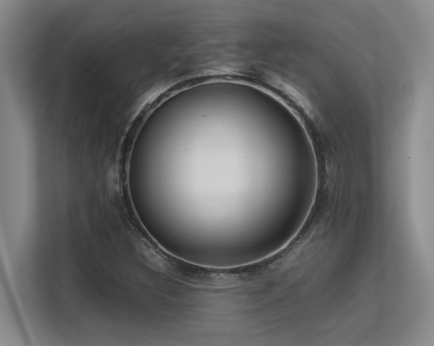 X0000113211308200909101124