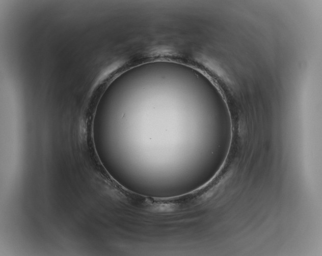 X0000113211309200909101124