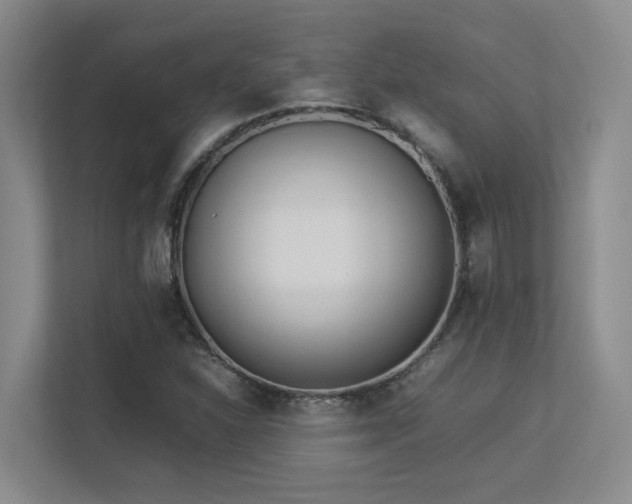 X0000113211310200909101124