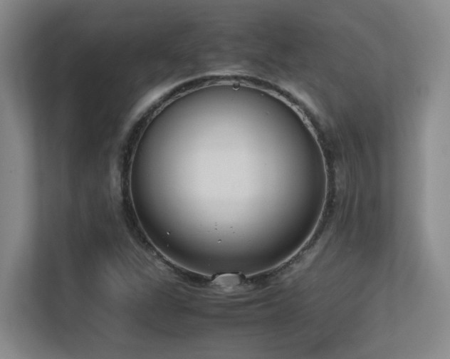 X0000113211311200909101124
