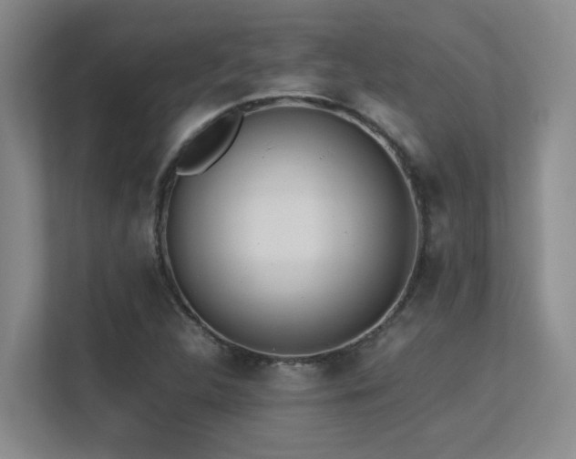 X0000113211312200909101124