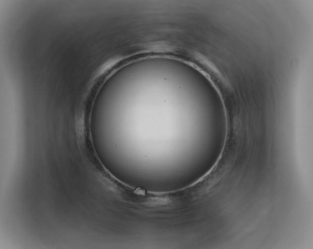 X0000113211315200909101124