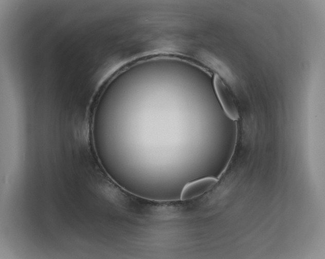 X0000113211316200909101124