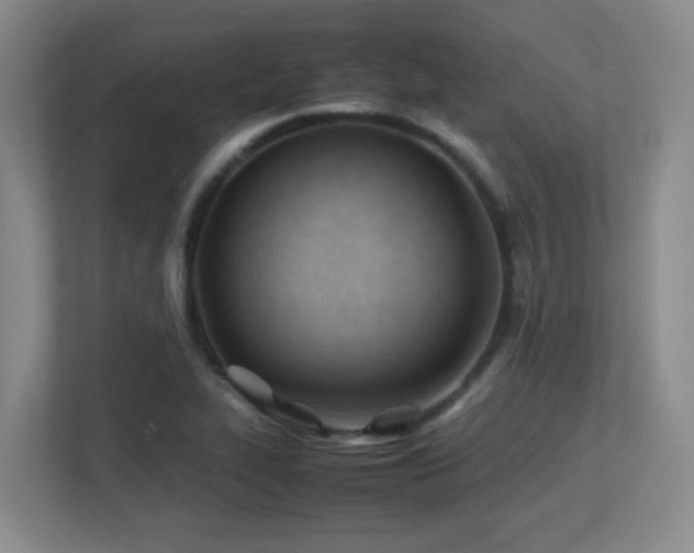 X0000113211319200909101124