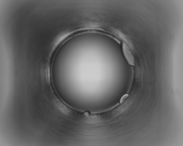 X0000113211320200909101124