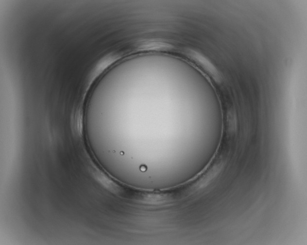 X0000113211322200909101124