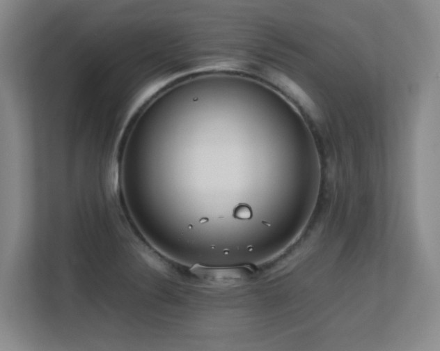 X0000113211324200909101124