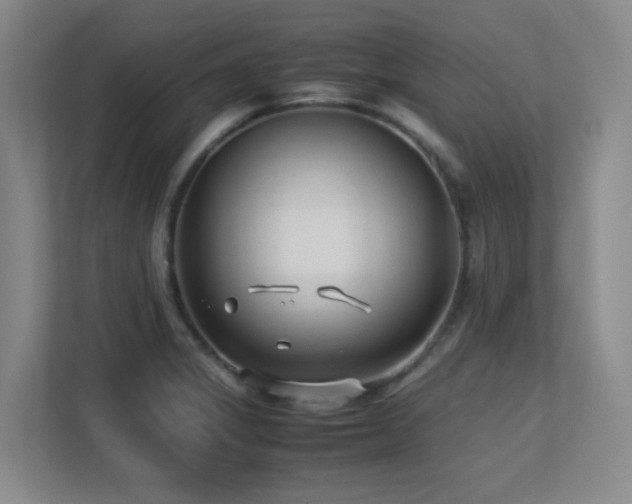 X0000113211325200909101124