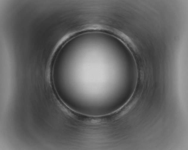 X0000113211326200909101124