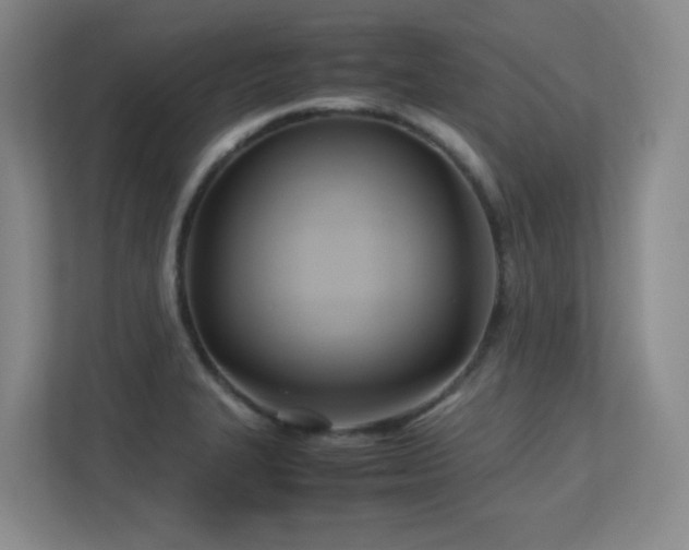 X0000113211327200909101124
