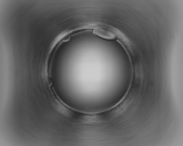 X0000113211328200909101124