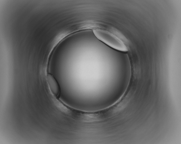 X0000113211330200909101124