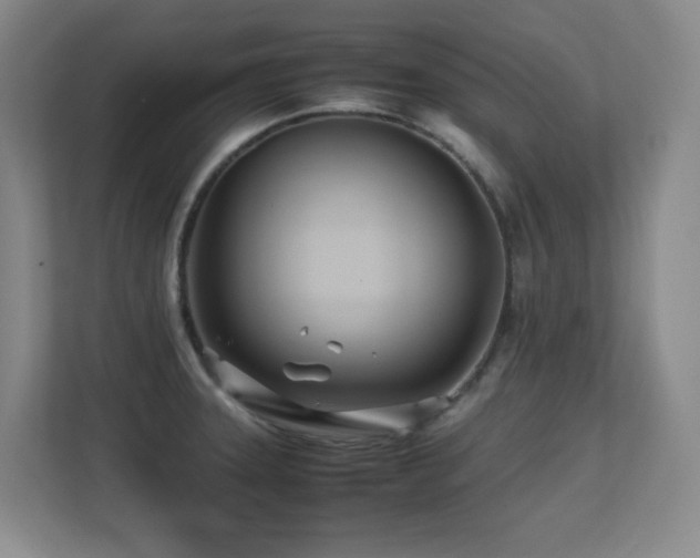 X0000113211331200909101124