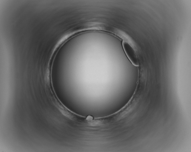 X0000113211332200909101124