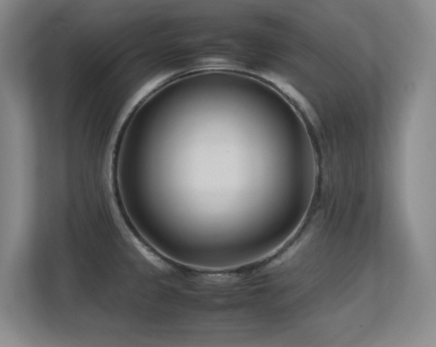 X0000113211333200909101124