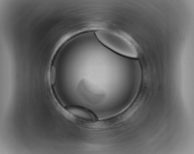 X0000113211334200909101124