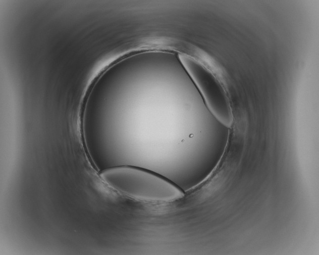 X0000113211336200909101124