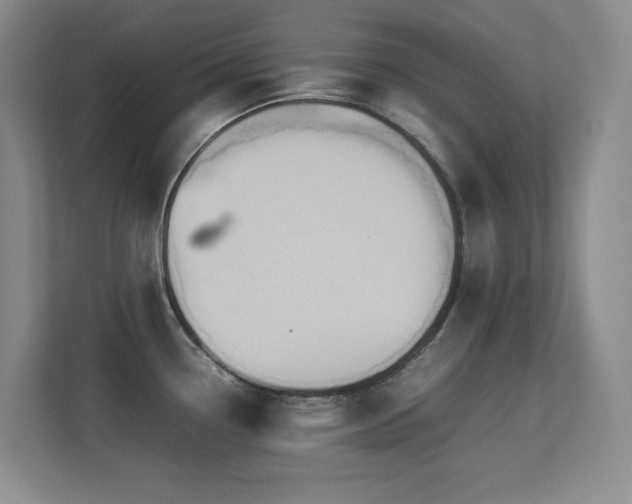 X0000113211338200909101124