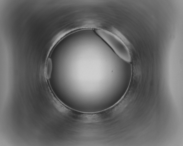 X0000113211340200909101124