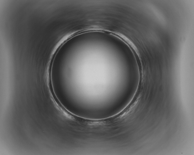 X0000113211341200909101124