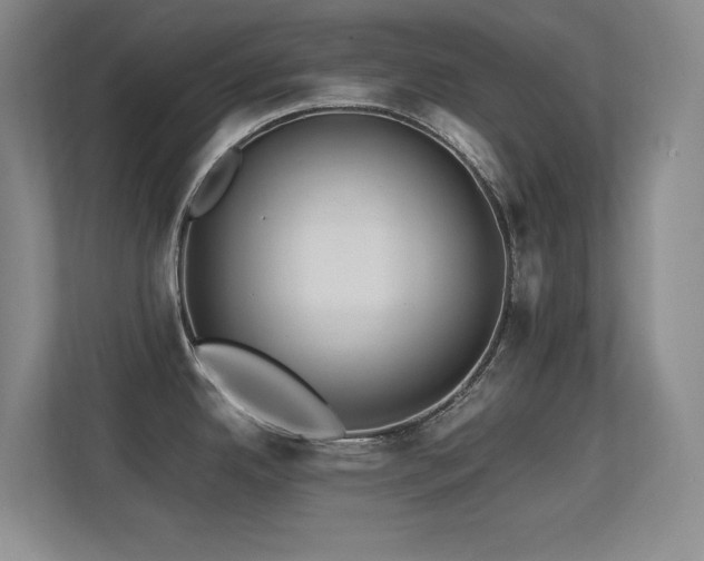 X0000113211342200909101124