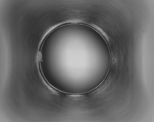 X0000113211343200909101124