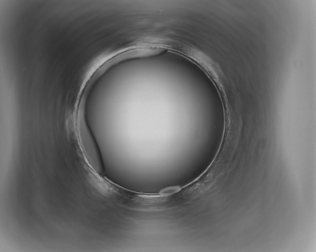 X0000113211344200909101124