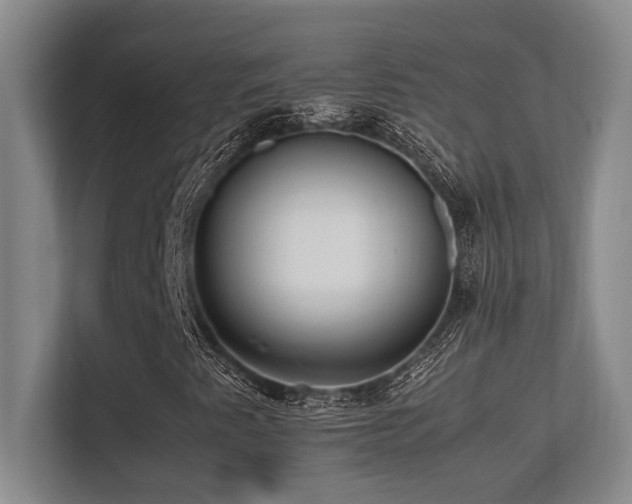 X0000113211345200909101124