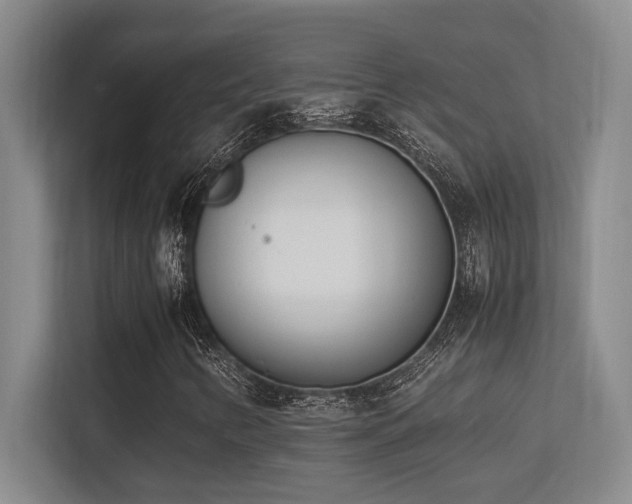 X0000113211346200909101124