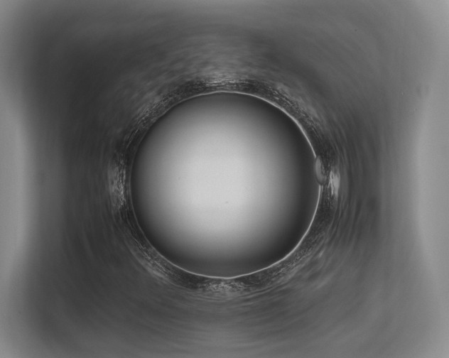 X0000113211348200909101124