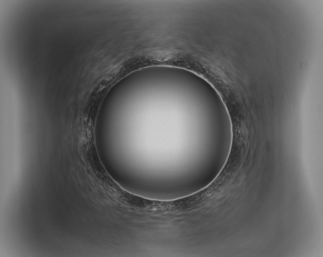 X0000113211349200909101124