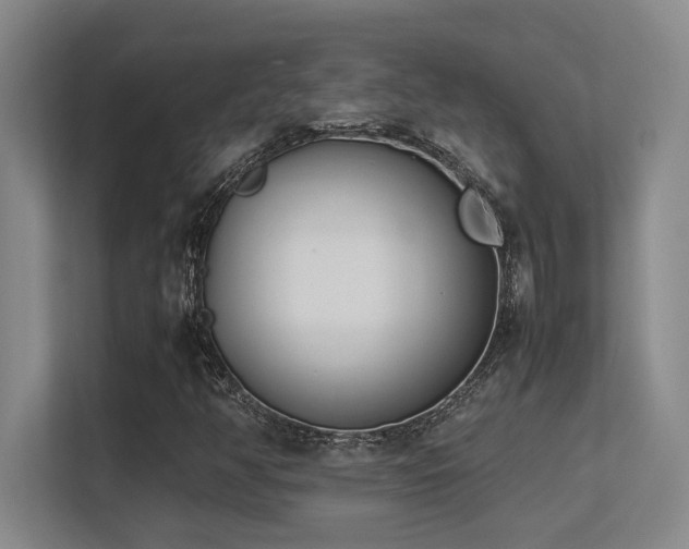 X0000113211350200909101124