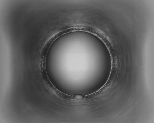 X0000113211352200909101124