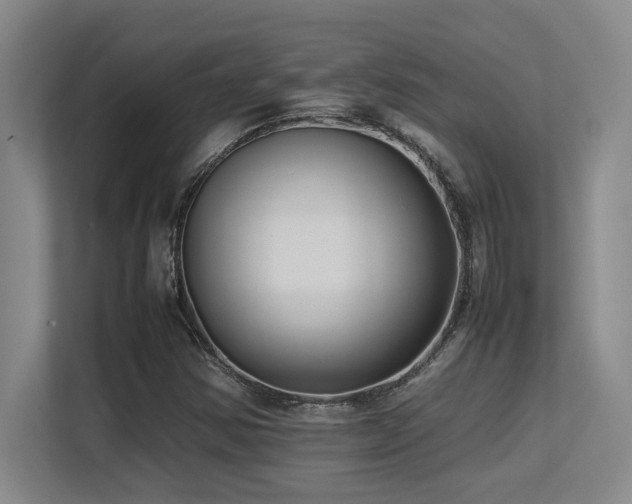 X0000113211354200909101123