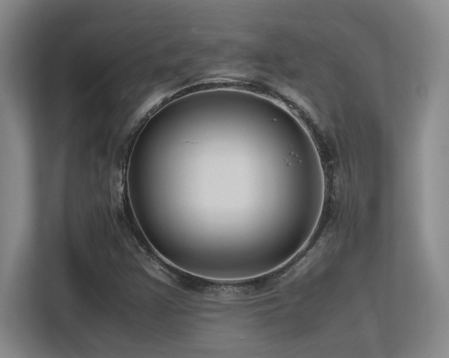 X0000113211355200909101123