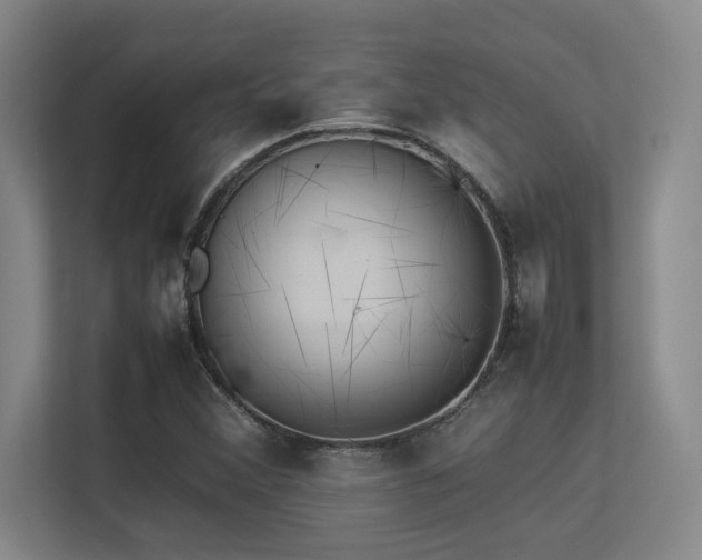 X0000113211356200909101123