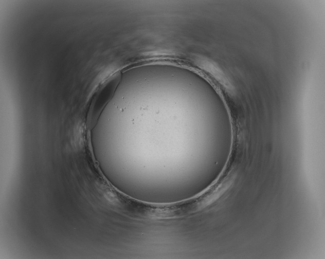 X0000113211357200909101123