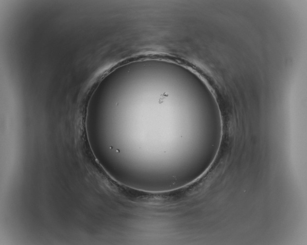 X0000113211359200909101123
