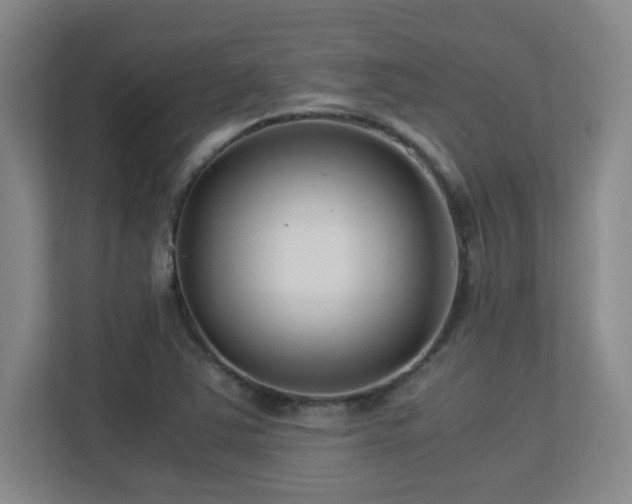 X0000113211363200909101123