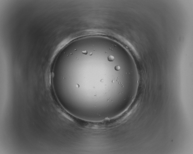 X0000113211365200909101123