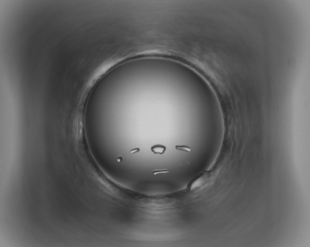X0000113211367200909101123