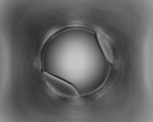 X0000113211368200909101123